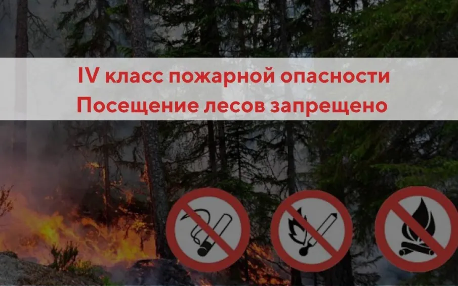 Высокий класс пожарной опасности лесов и торфяников